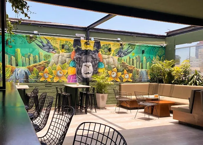 Black Llama Hostel Miraflores Lima